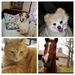 Meet your Posher, Ann